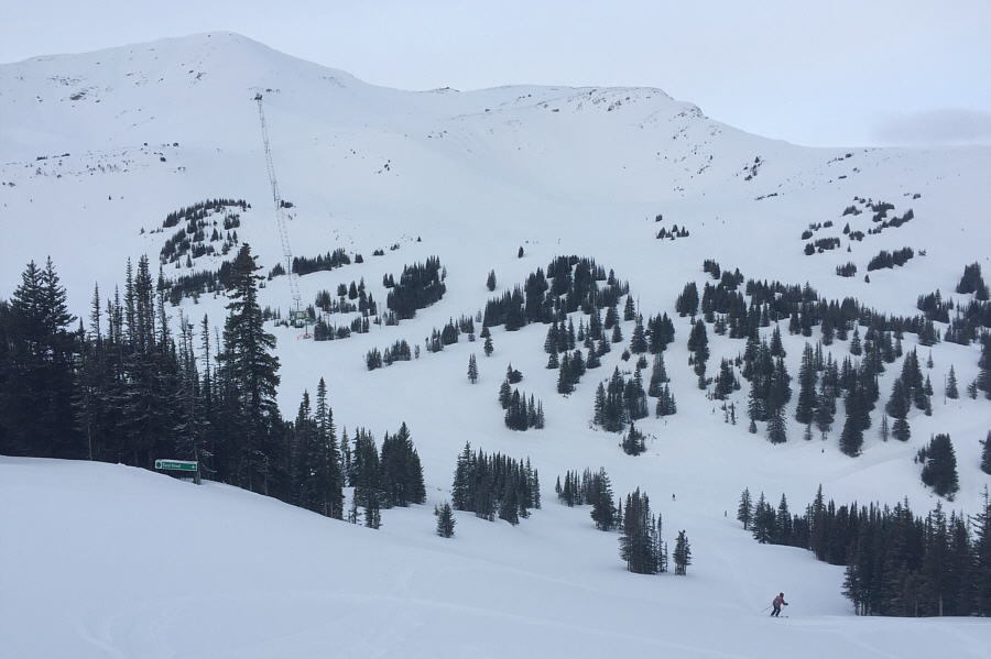 This is the heart of Marmot Basin.