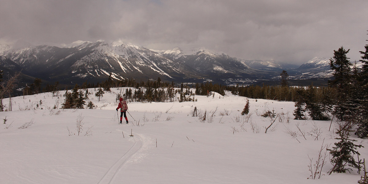 Amazing skiing here especially with light touring gear.