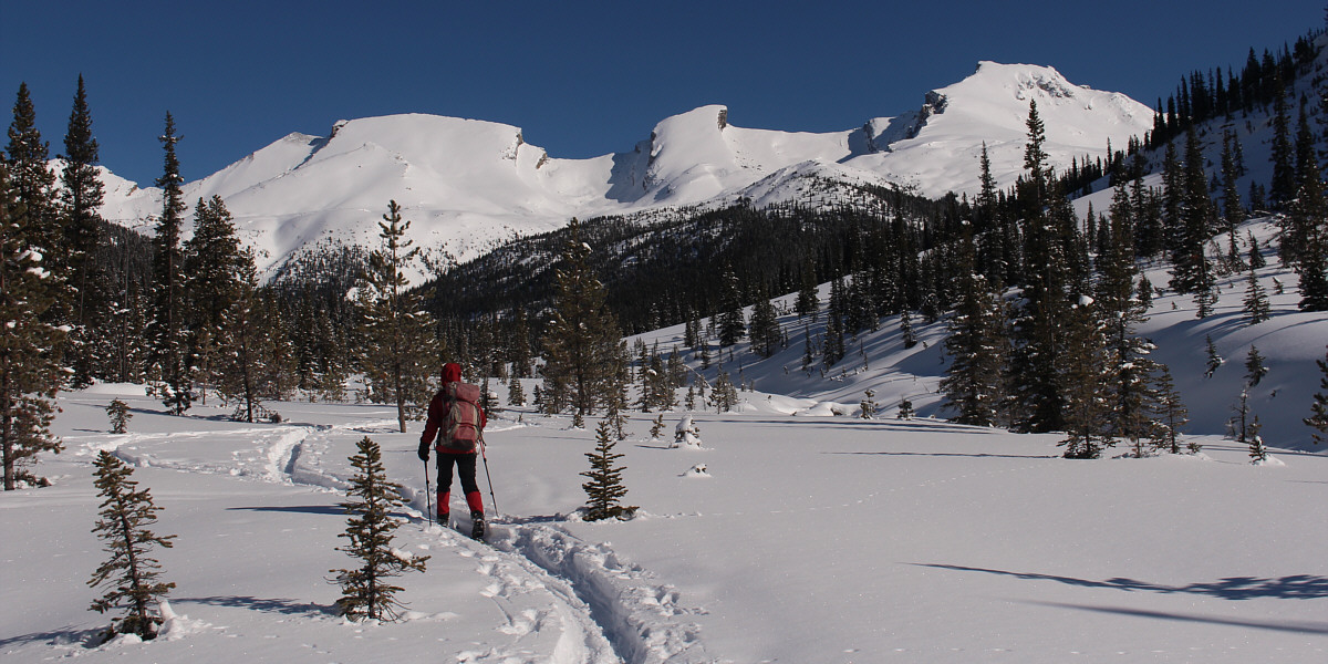 Hopefully, future ski ascents for me...