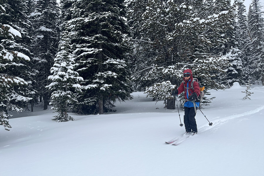 Effortless skiing...sorta!