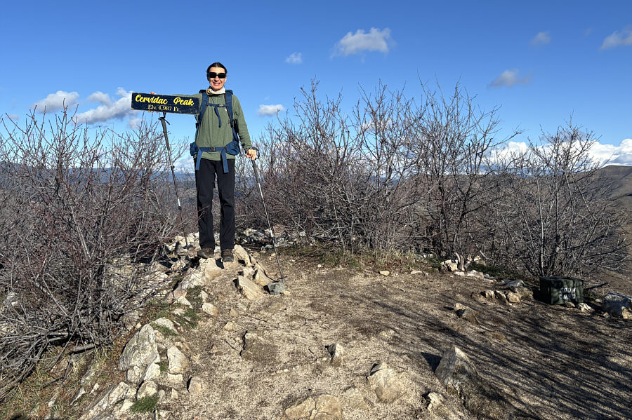 Someone needs to come and chop down all these bushes!