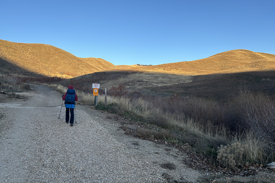 Impossible to see here, but there is a big raptor in a tree up ahead.