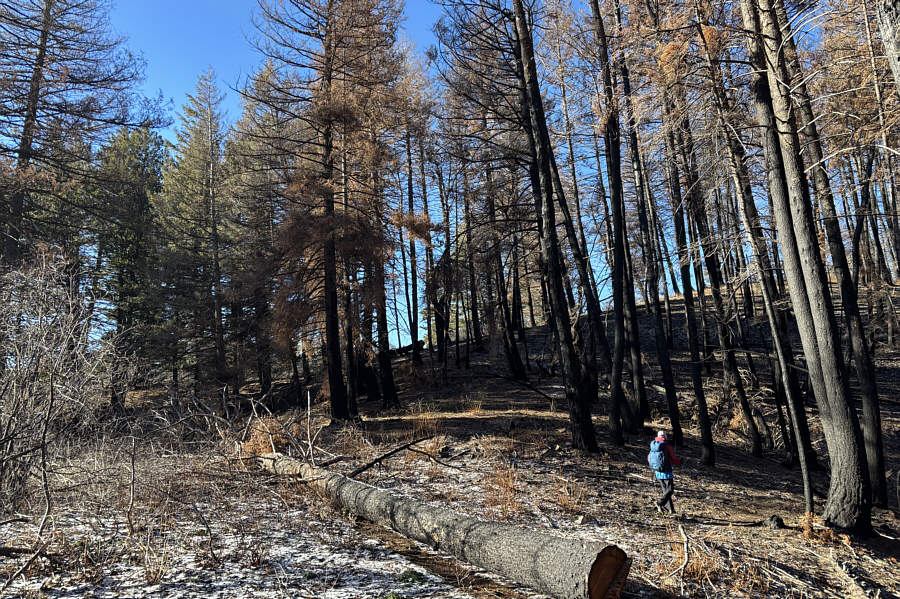 Trust me--this is a good short cut to take!