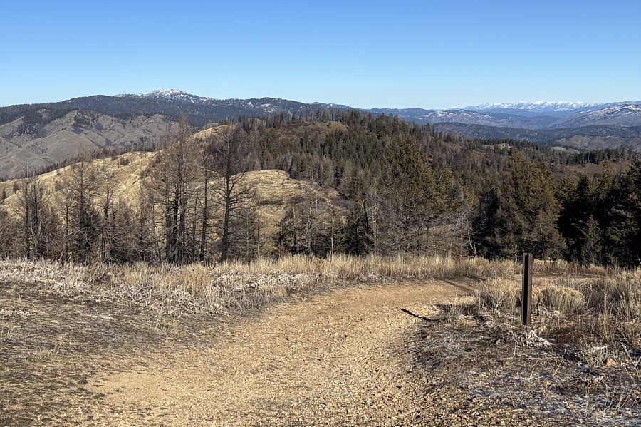 Looks like a good ski day there!