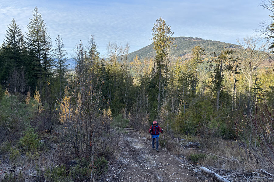 Mount Hilliam is apparently a terrible bushwhack with no views at the summit according to Brandon Boulier. I guess we'll skip it!
