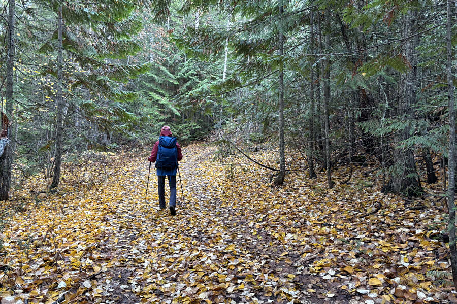 Green and yellow paradise!