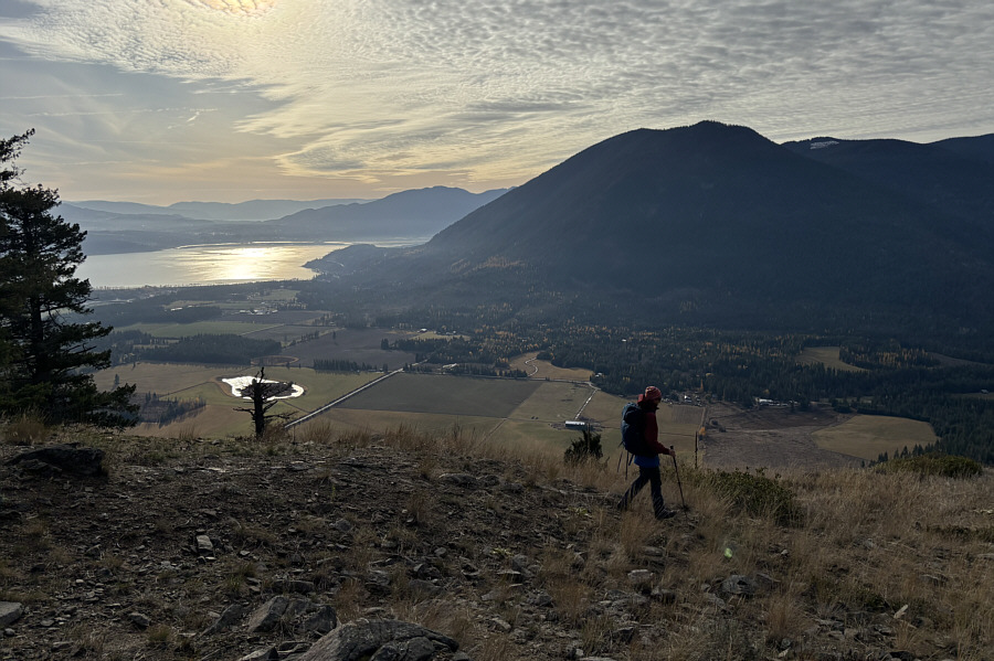 The light would probably be better later in the day.