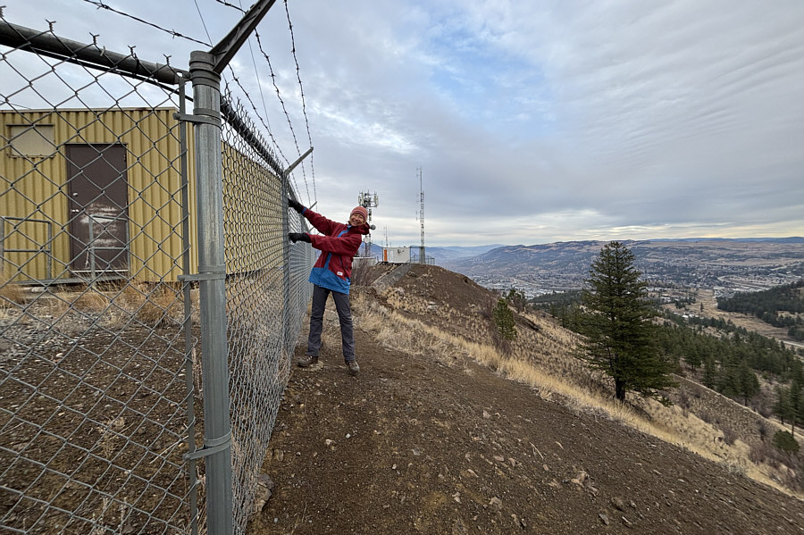 Hope that fence isn't electrified!