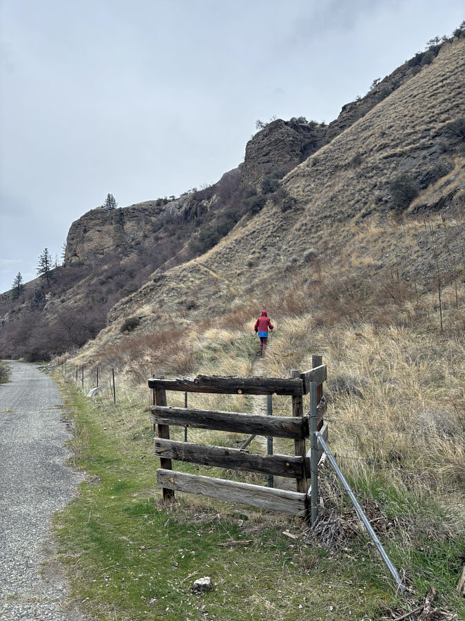 Watch out for the barbed wire!