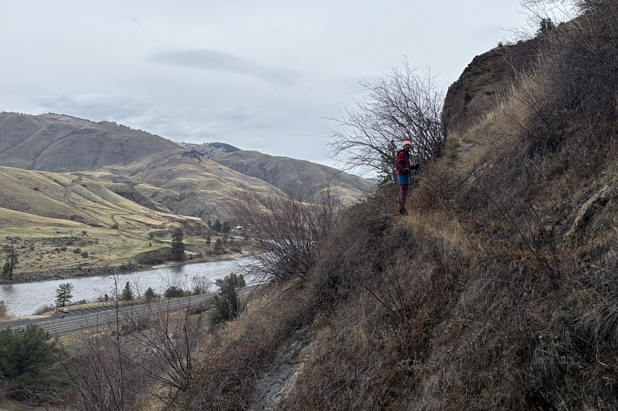 According to Wikipedia, "Salmon River is the longest undammed river in the contiguous United States."