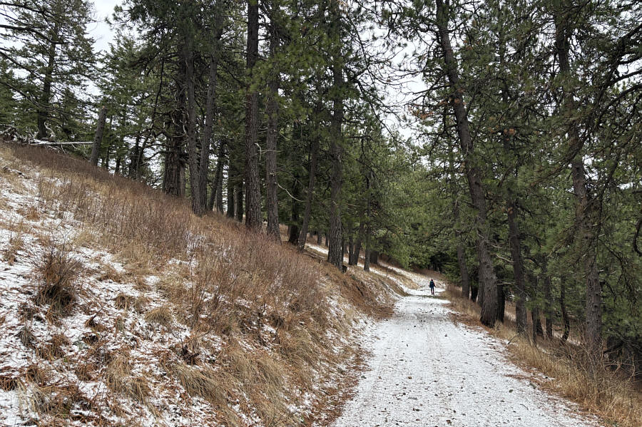 This is the road that bikers use to get up here.