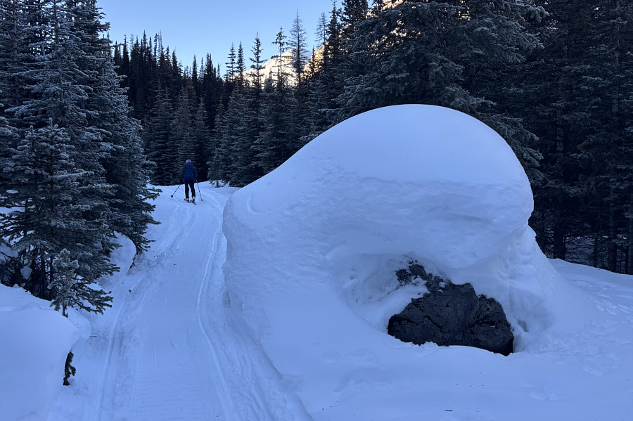 Feels like a slog already, and we're only about 2 km from the trailhead!