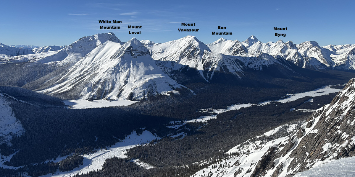 Always good to see the 'Boine!