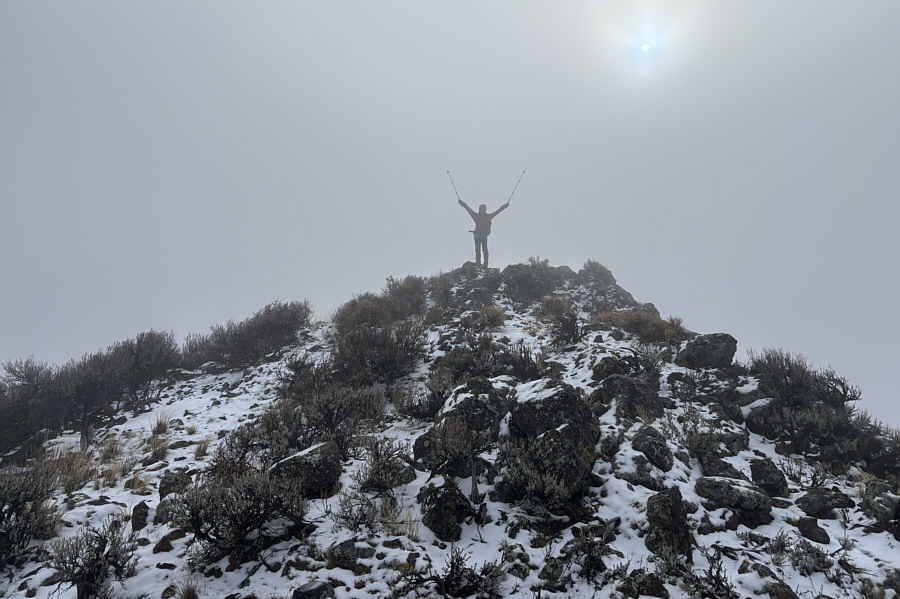 Kinda feels like a summit!